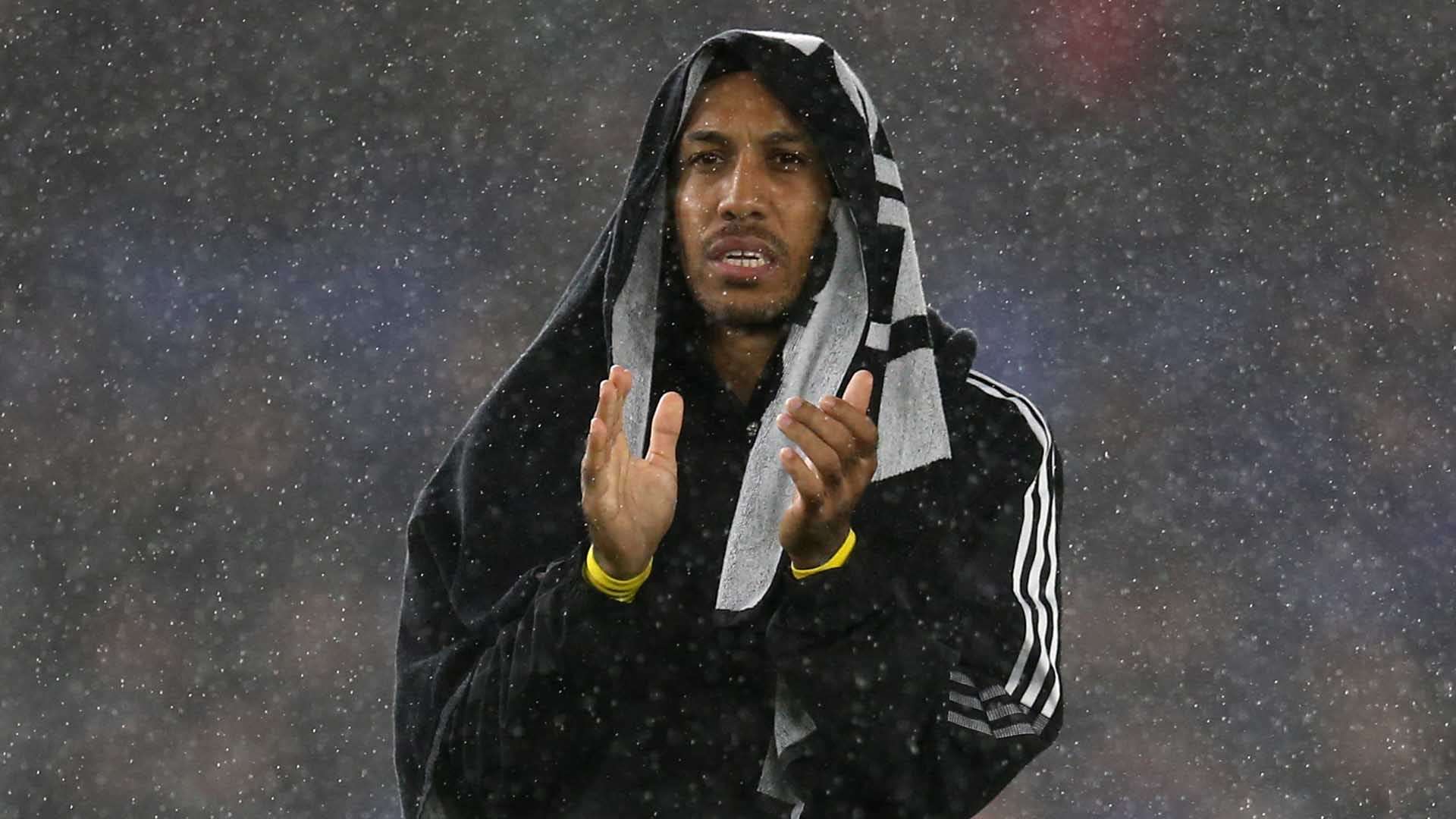 忠诚与热爱 忠诚与热爱